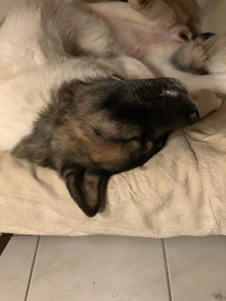 Test moderation