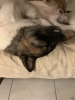 Test moderation