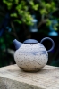 Nature's Blend Teapot