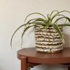 Croc Plant Pot, medium