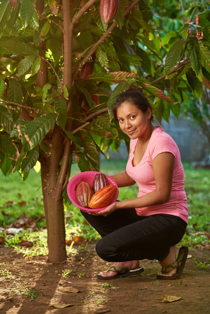 Producteur local cacao