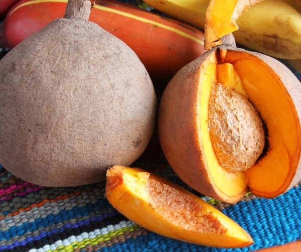 Mamey Abricot pays fruit exotique