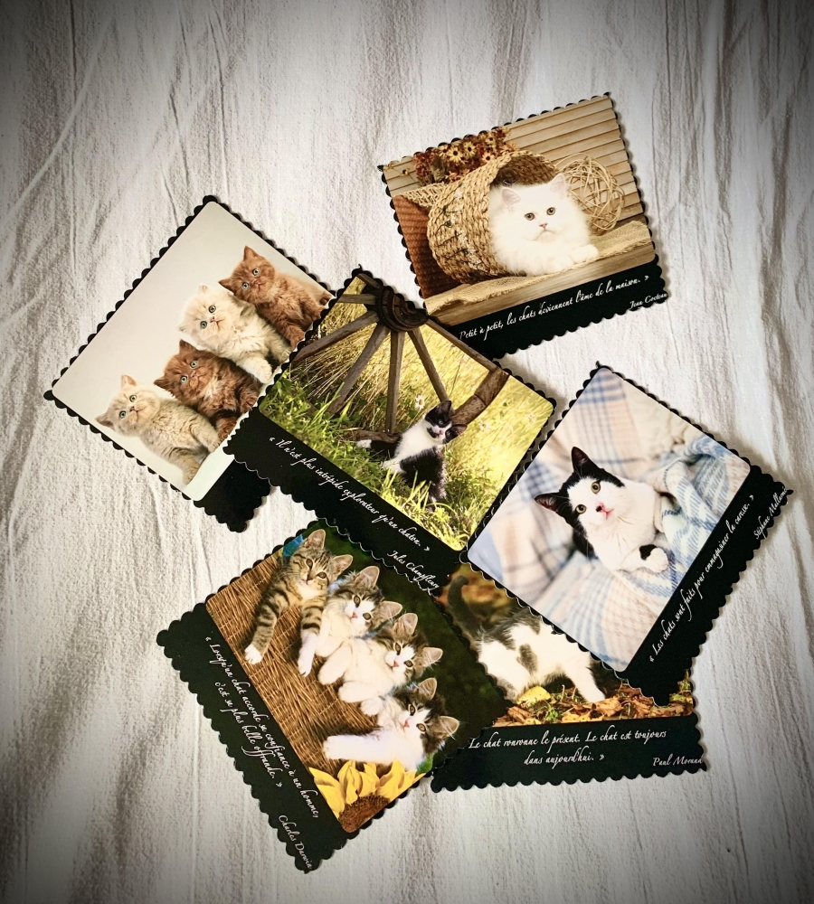 Lot de cartes postales à thématique chat