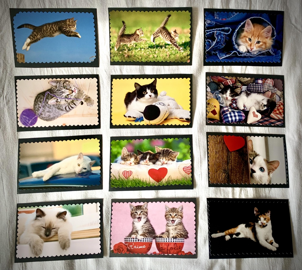 Lot de cartes postales à thématique chat