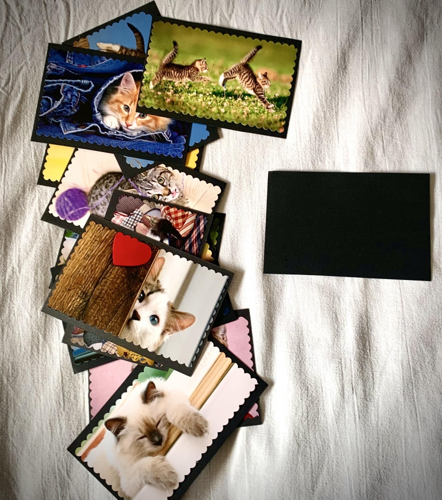 Lot de cartes postales à thématique chat