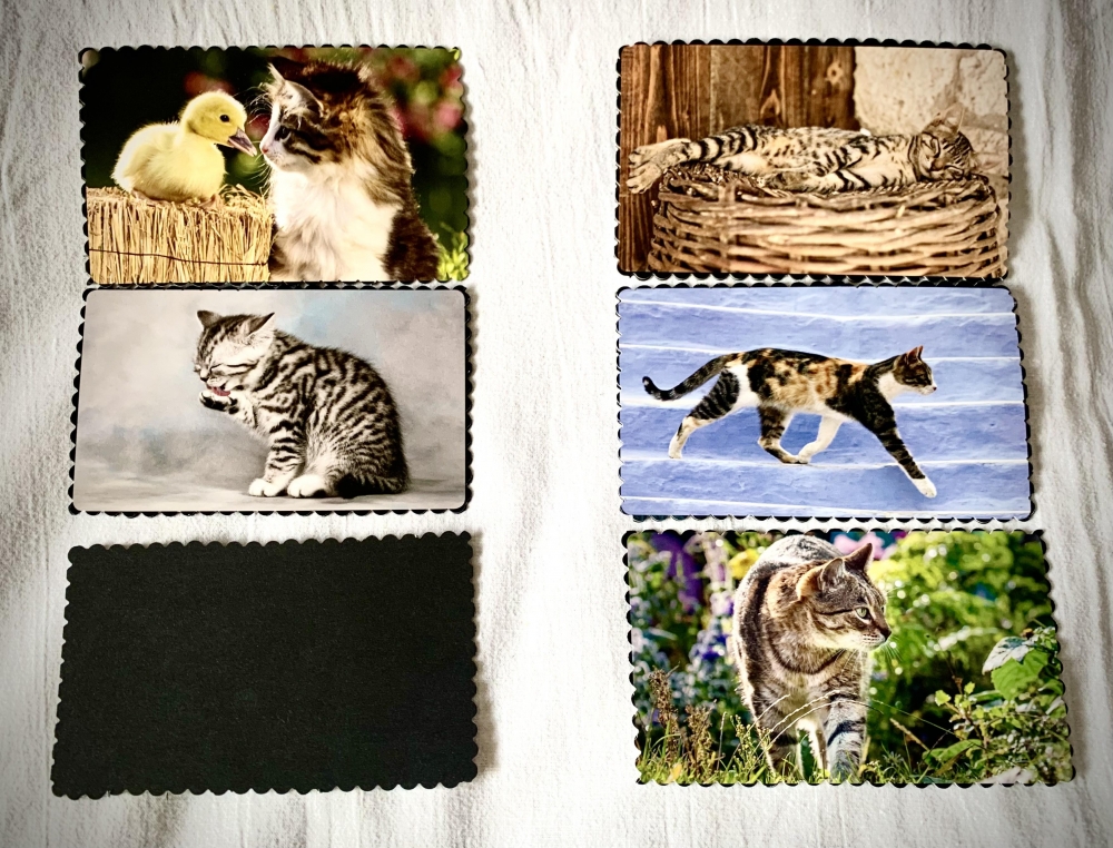 Lot de cartes postales à thématique chat