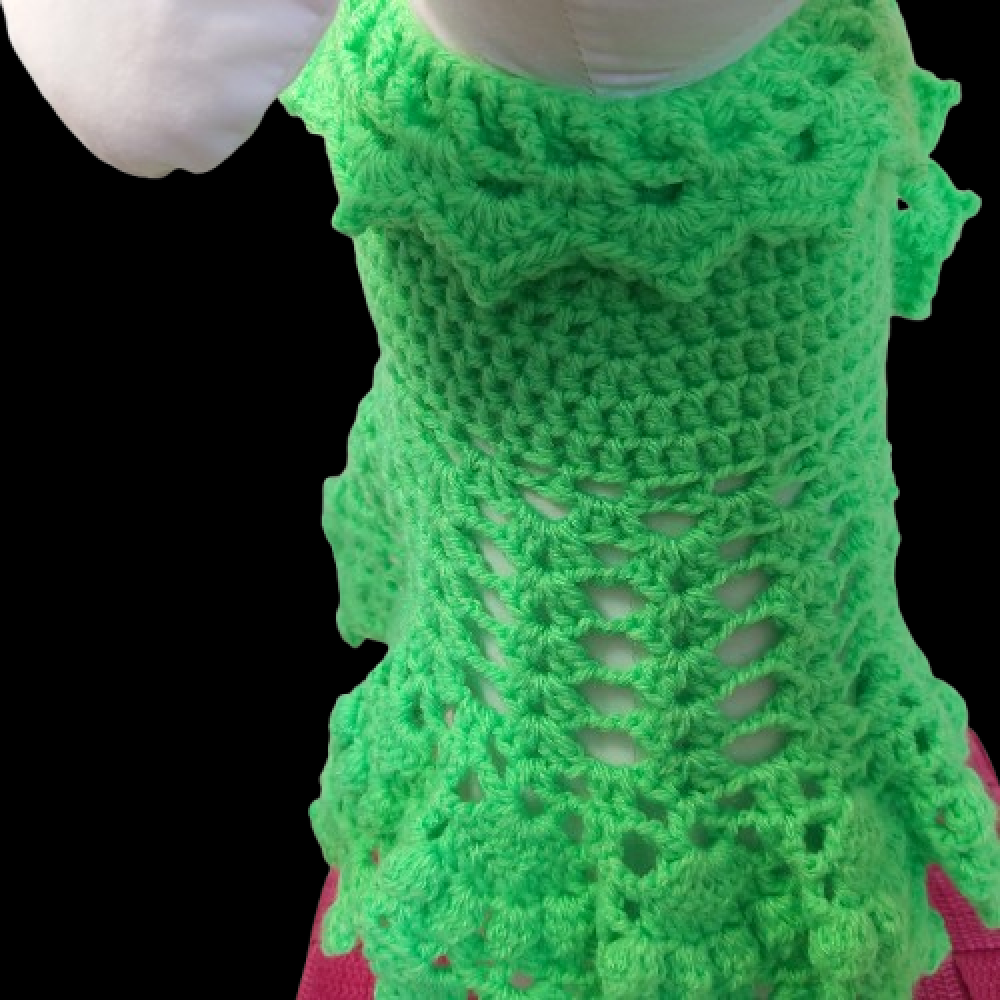 Robe verte style dentelle pour chien d'environ 3.5 kg fait main au crochet avec amour.