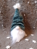 Gnome de Noël