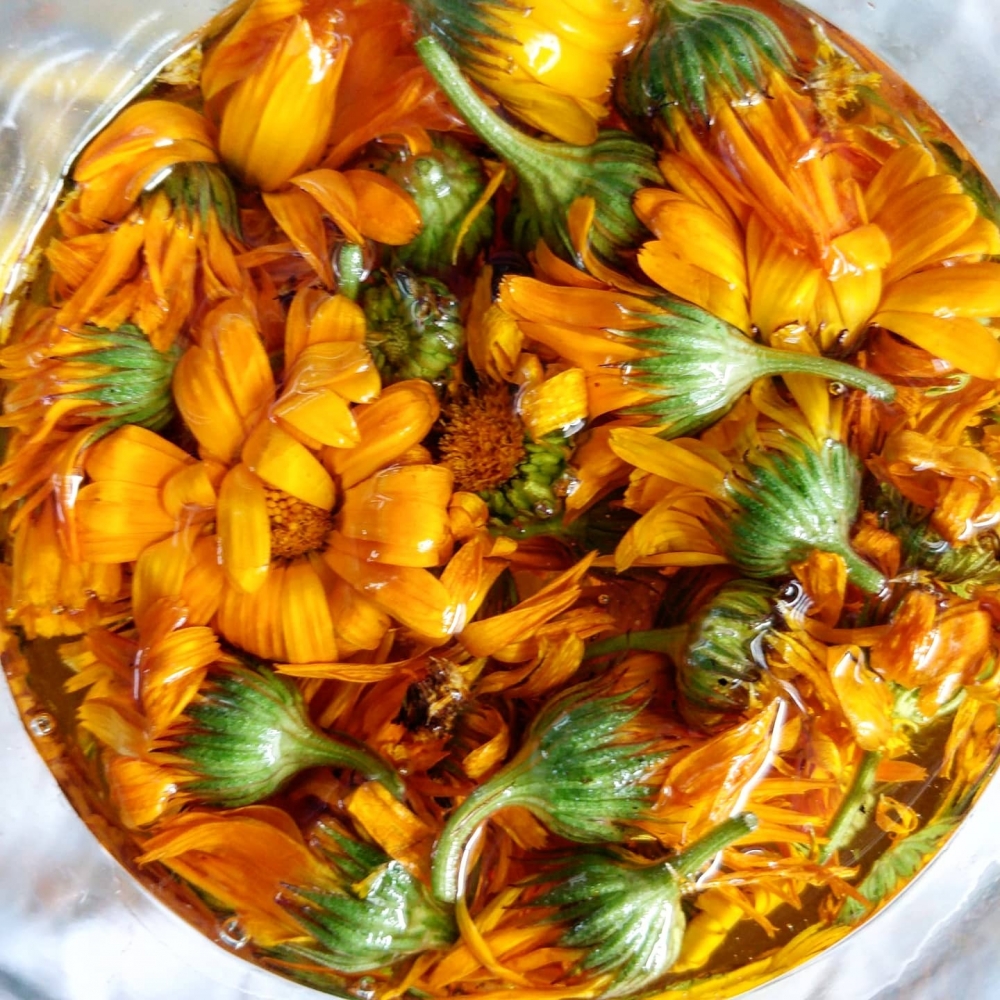 Macérât huileux de calendula