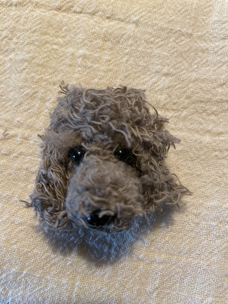 Tête de caniche