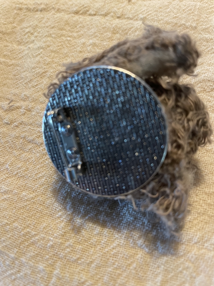 Tête de caniche
