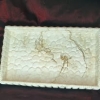 Petit plateau texturé marbré coade