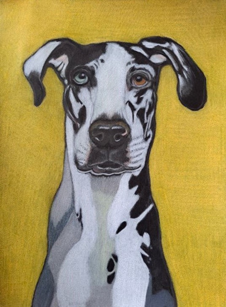 Dog 5, dessin original aux crayons de couleurs
