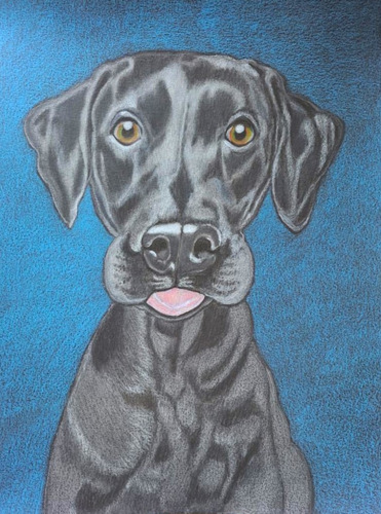 Dog 7, dessin original aux crayons de couleurs