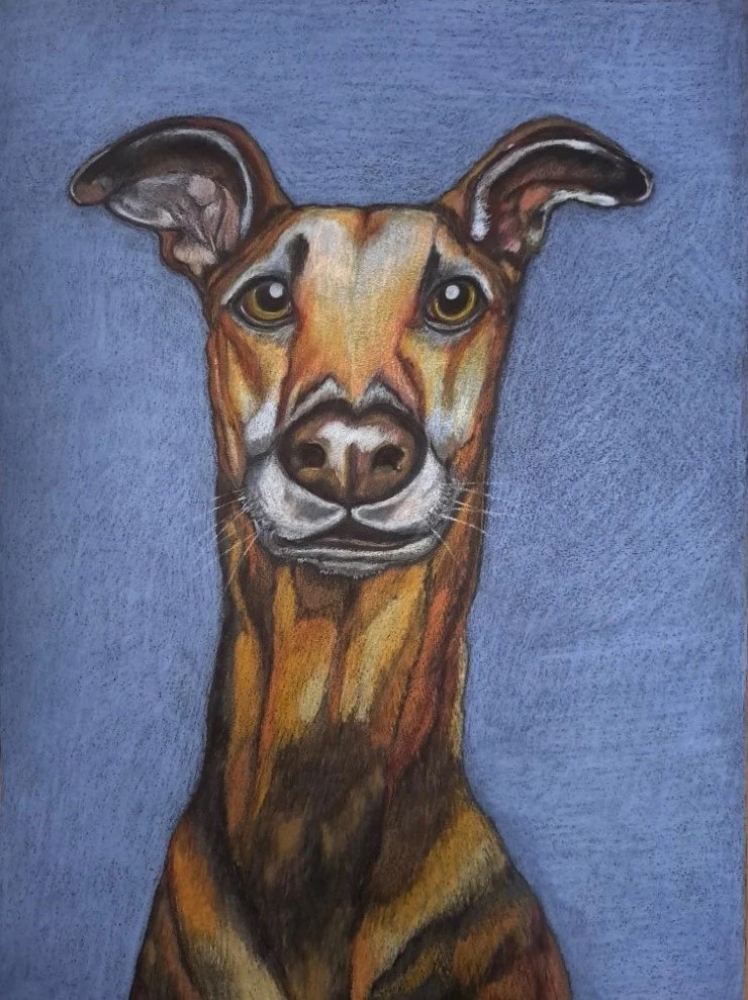 Dog 1, dessin original aux crayons de couleurs