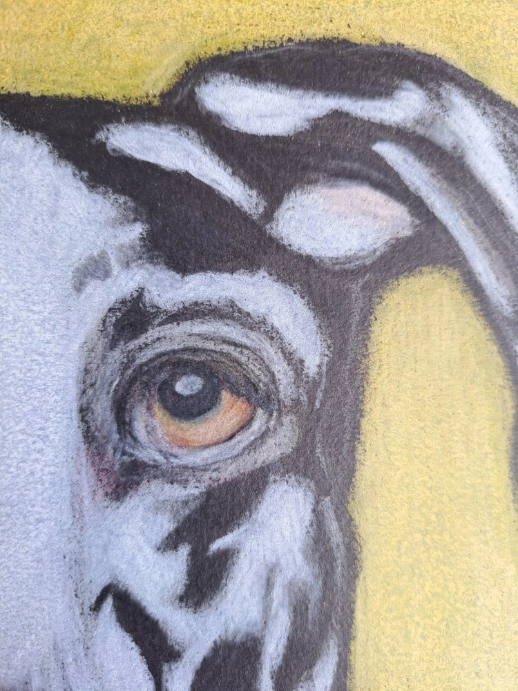 Dog 5, dessin original aux crayons de couleurs