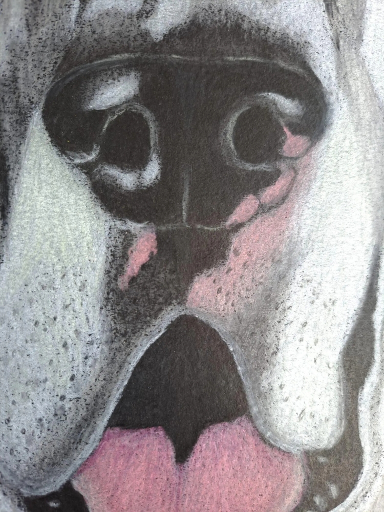 Dog 5, dessin original aux crayons de couleurs