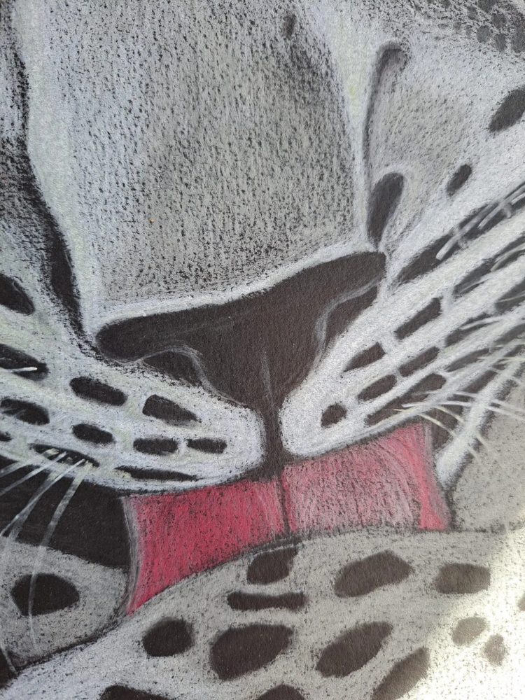 Léopard, dessin original aux crayons de couleurs