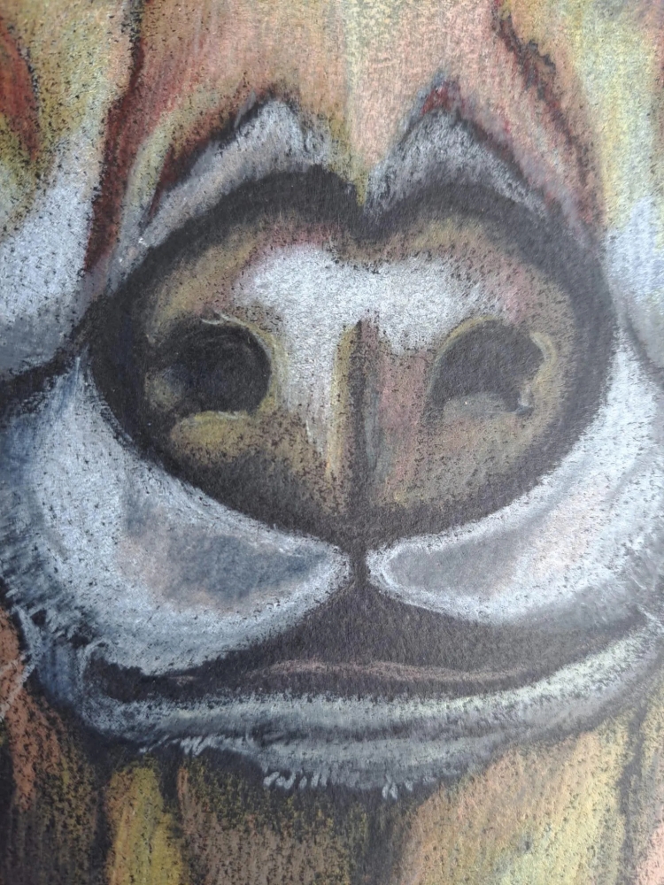 Dog 1, dessin original aux crayons de couleurs