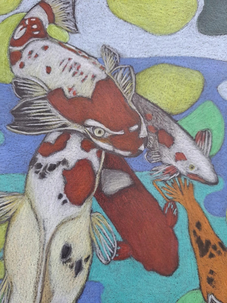 Carpes koï, dessin original aux crayons de couleurs