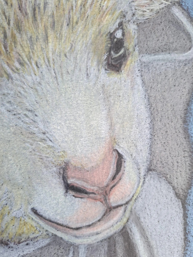 Petite fille à l'agneau, dessin original aux crayons de couleurs