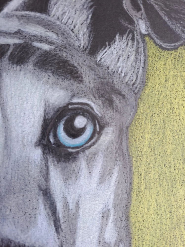 Dog 4, dessin original aux crayons de couleurs