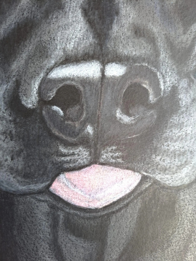 Dog 7, dessin original aux crayons de couleurs