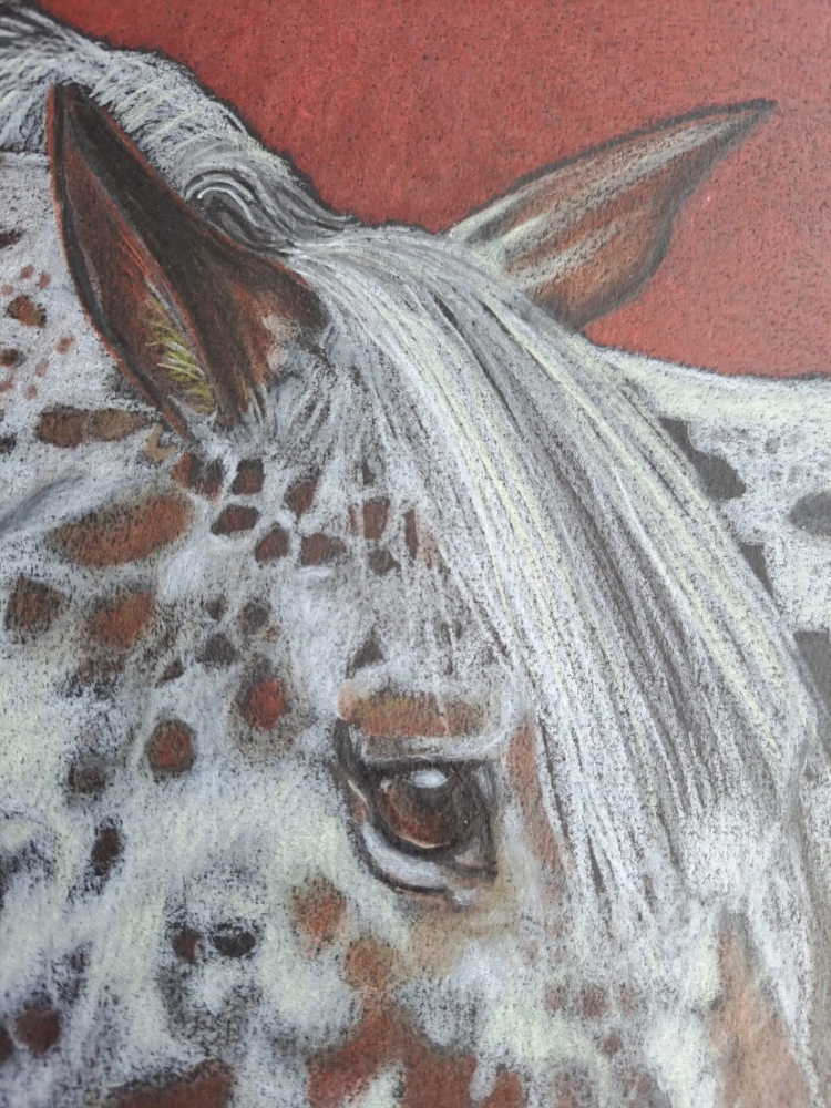 Appaloosa, dessin original aux crayons de couleurs