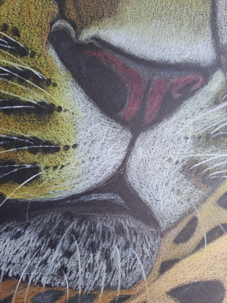 Panthère, dessin original aux crayons de couleurs