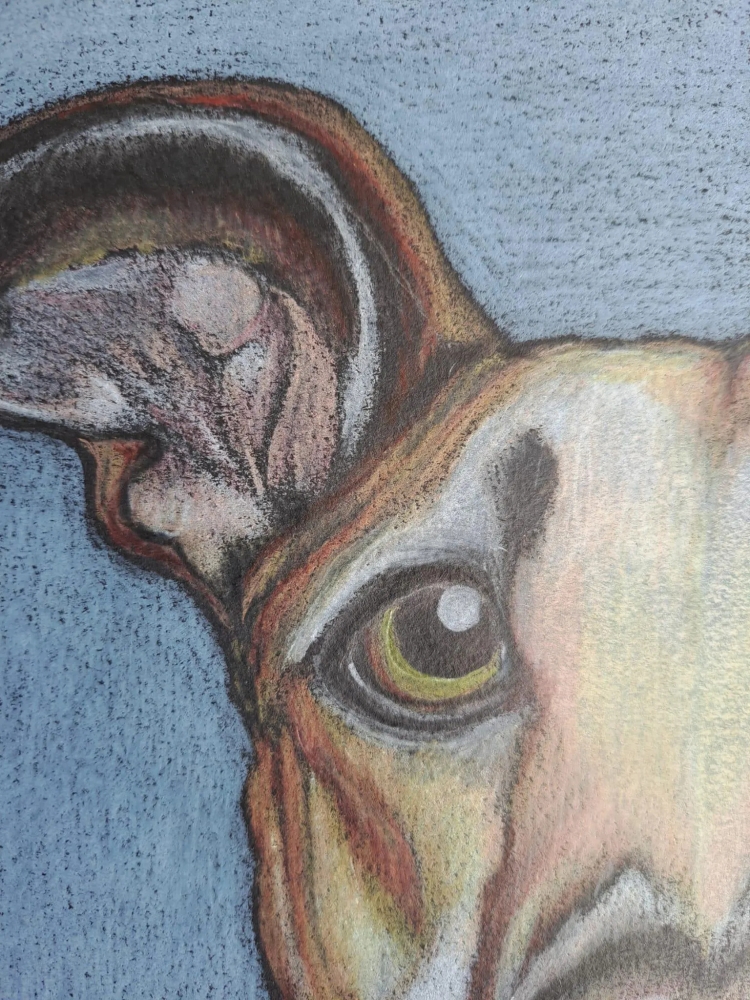 Dog 1, dessin original aux crayons de couleurs