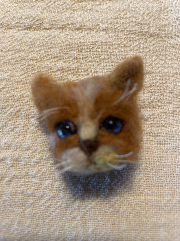 Chaton roux