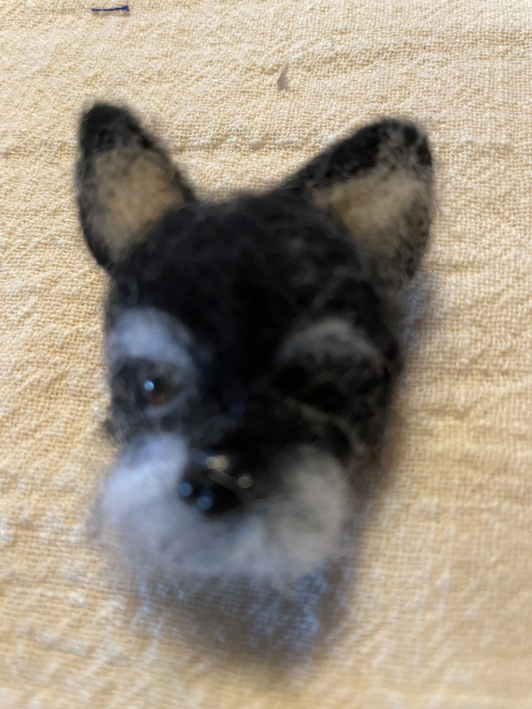 Chien