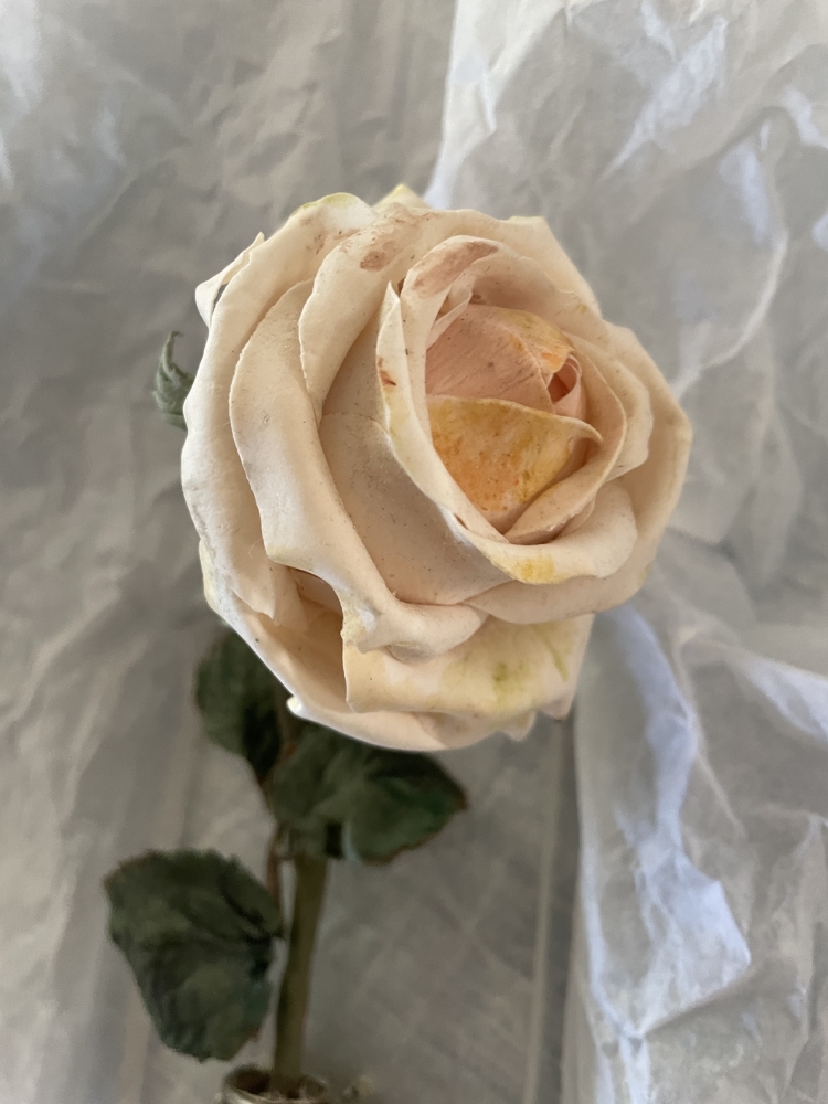 Manches en argent agrémenté d une rose