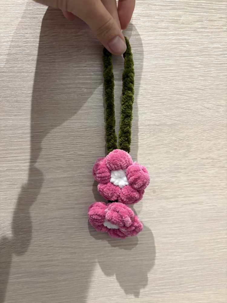 Accroche rétroviseur crochet