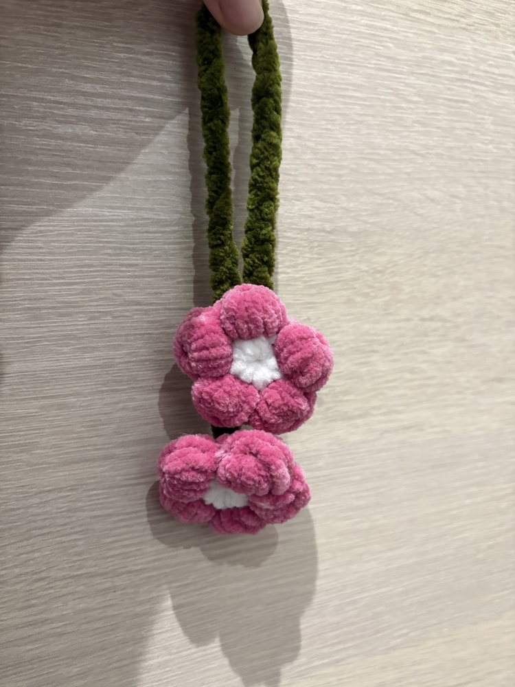 Accroche rétroviseur crochet