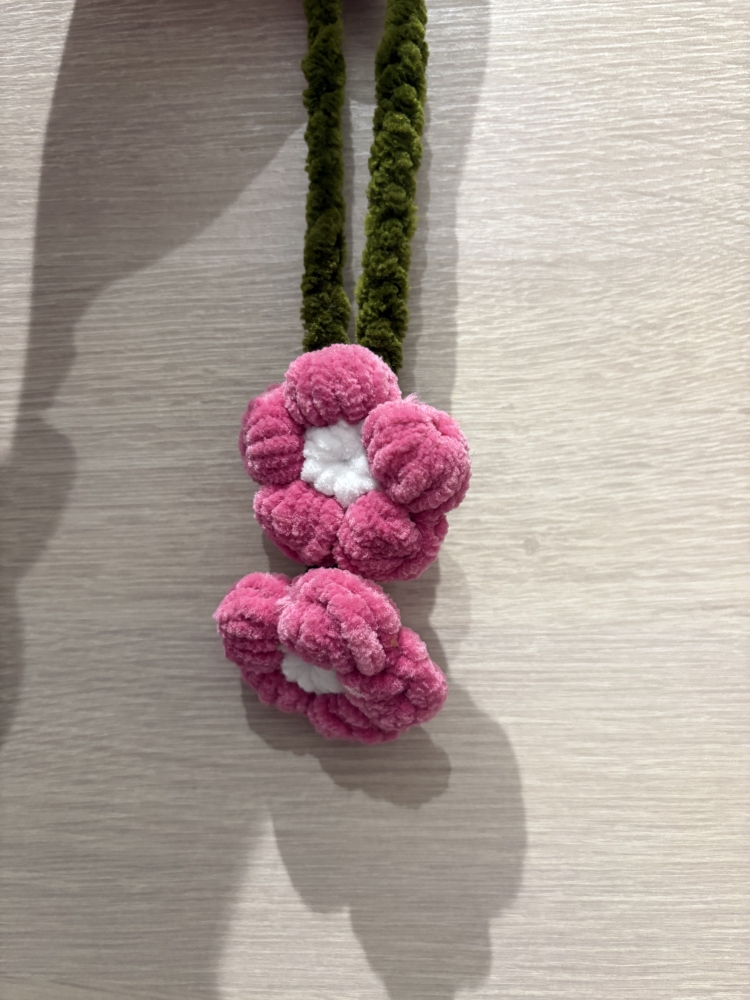 Accroche rétroviseur crochet