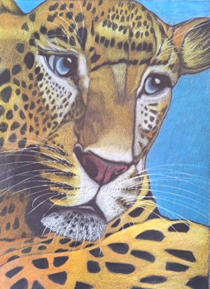 Panthère, dessin original aux crayons de couleurs