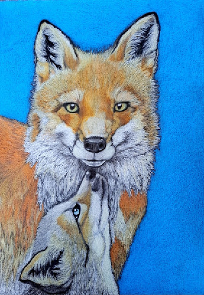 Renards, dessin original aux crayons de couleurs