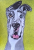 Dog 4, dessin original aux crayons de couleurs