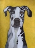 Dog 5, dessin original aux crayons de couleurs