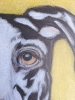 Dog 5, dessin original aux crayons de couleurs