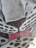 Léopard, dessin original aux crayons de couleurs