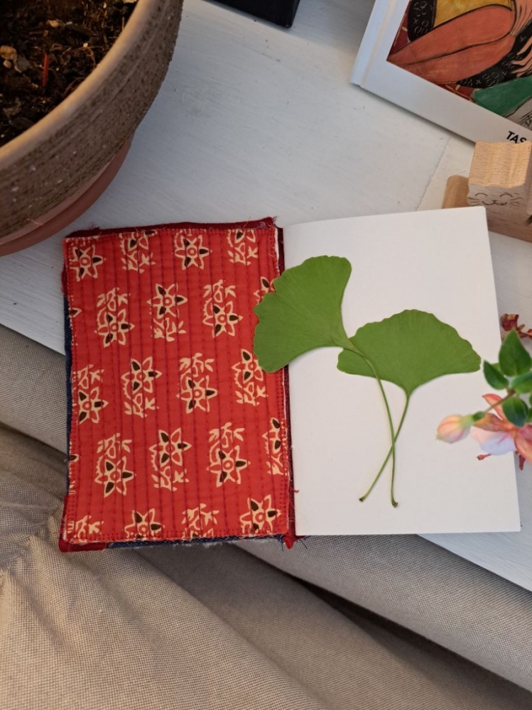 Carnet de cueillette : balade, fleurs & créations d’herbier