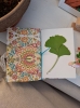 Carnet de cueillette : balade, fleurs & créations d’herbier