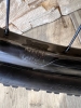 Roue 29 pouce Roval rapide control - Carbone