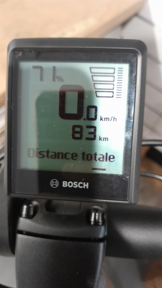 Bergamont E-Revox Sport