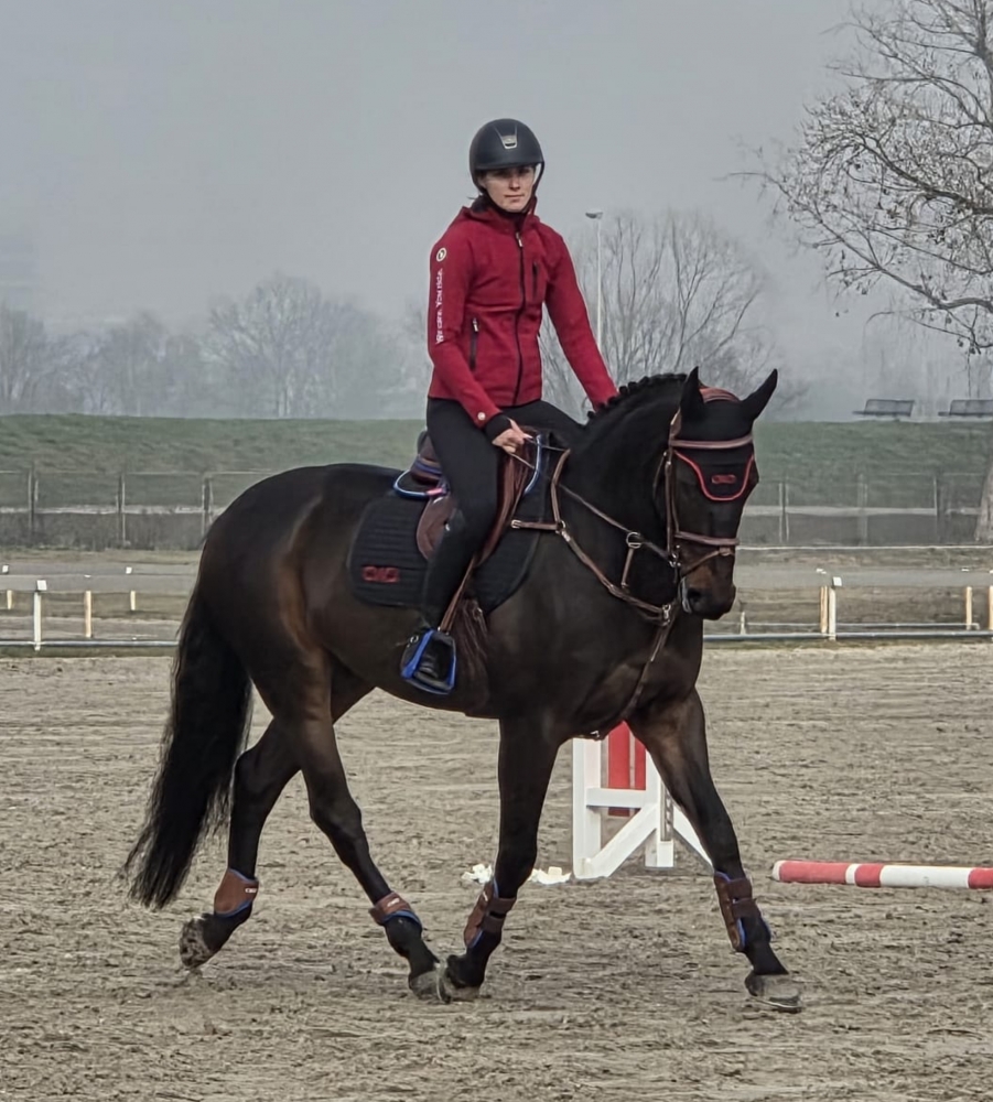 CORNET VAN SISSI RT Z 