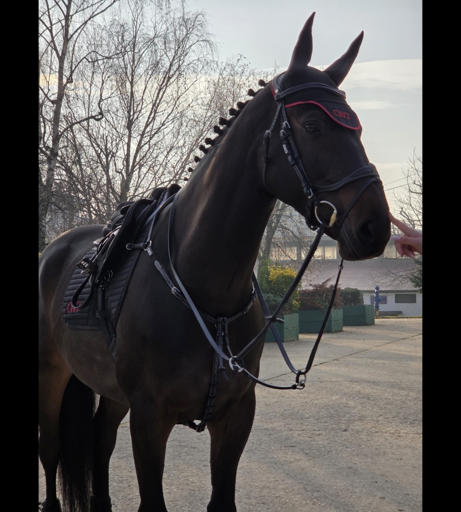 CORNET VAN SISSI RT Z 