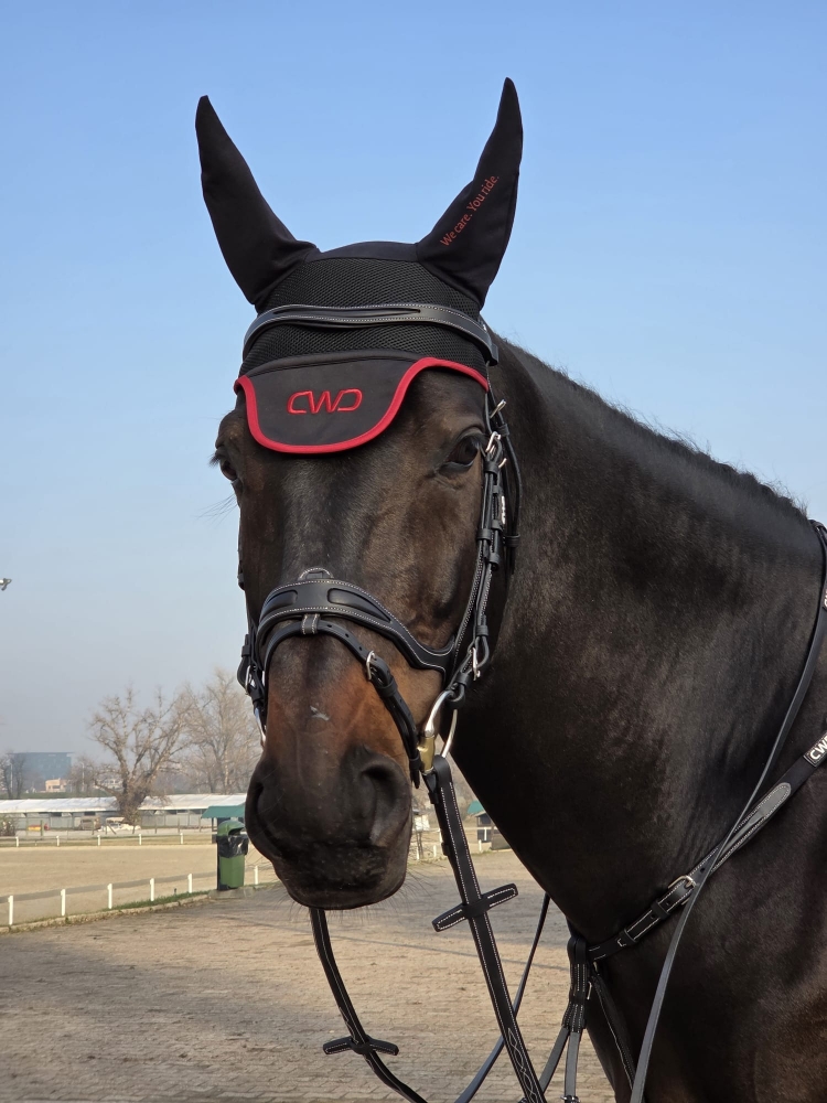 CORNET VAN SISSI RT Z 