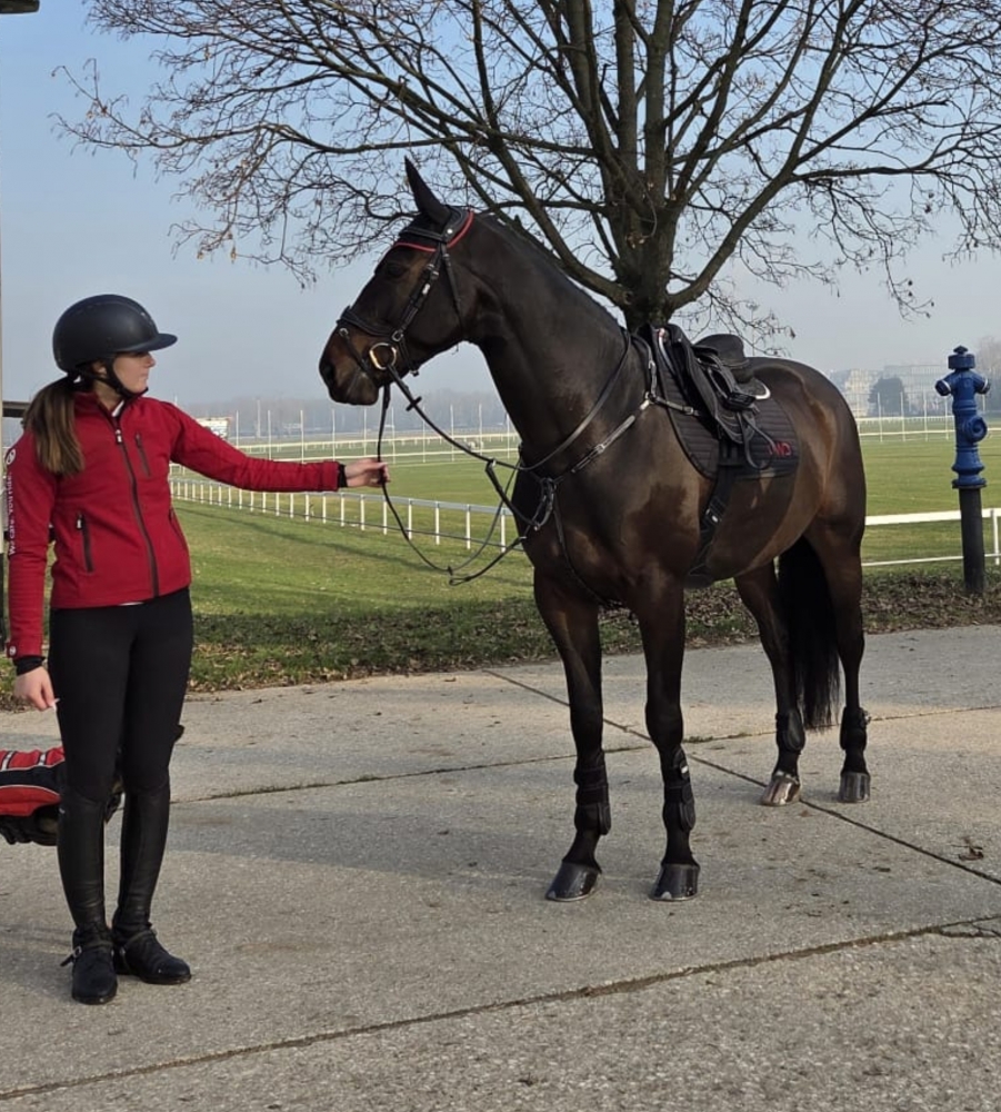 CORNET VAN SISSI RT Z 